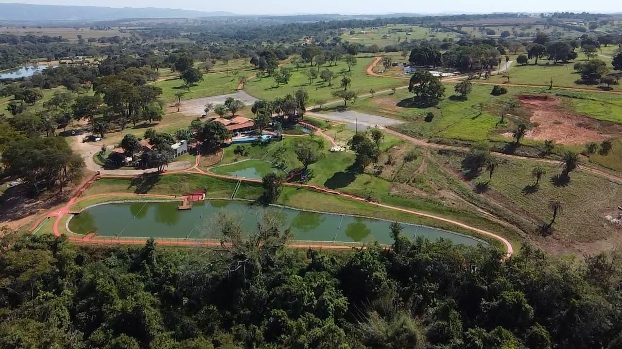 500 mudas de árvores serão plantadas em condomínio de Trindade (GO); veja espécies