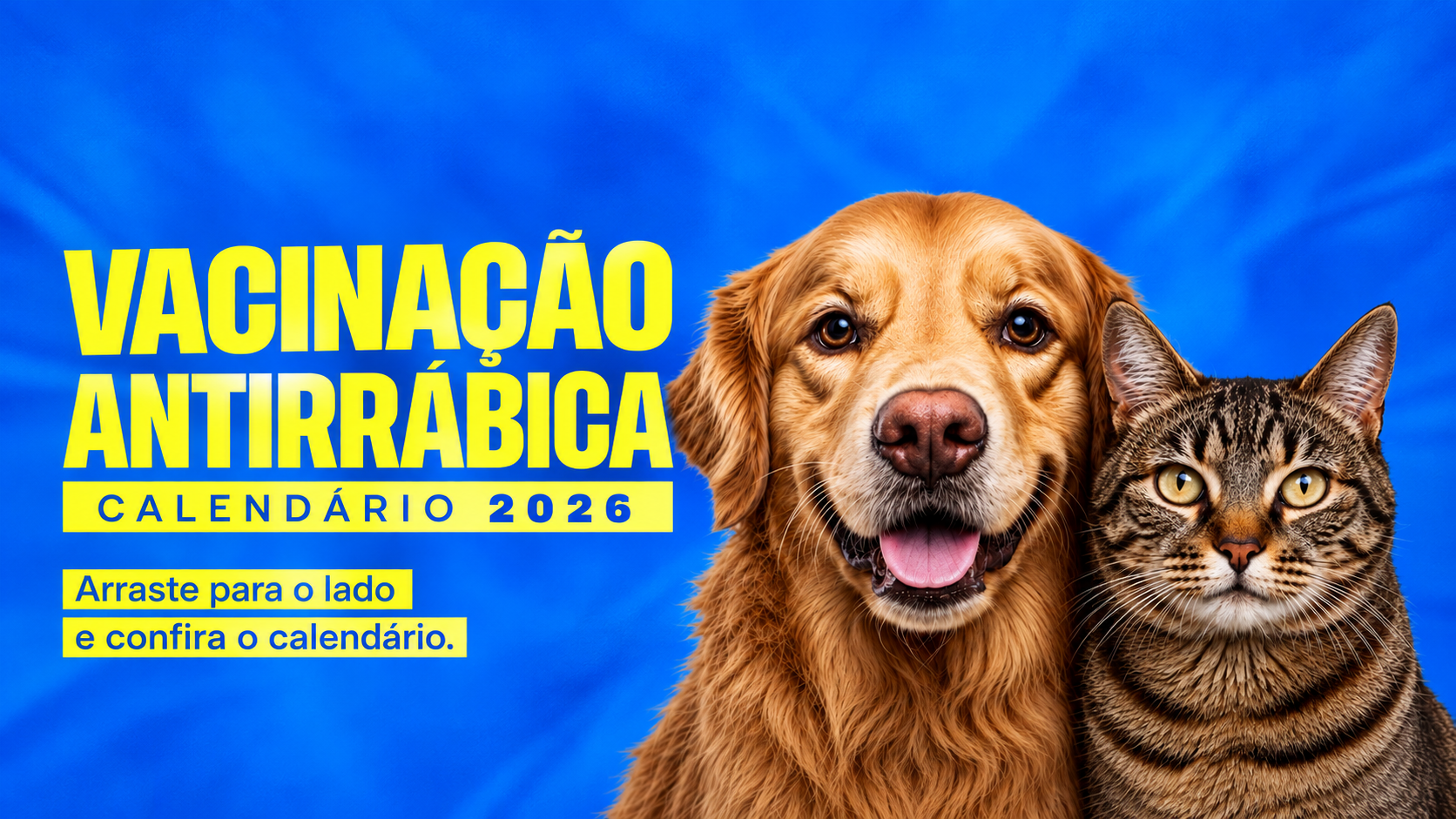 Trindade (GO) tem vacinação gratuita contra a raiva para cães e gatos neste sábado (17)